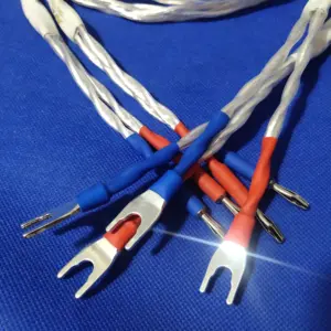 S9ae8665a4bb643bb8fa50729871657e4E