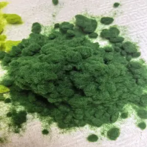 S9d52d63732864ff7a3ee49a0dd084a4fm