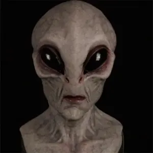 Sa019a40f289f42aaaea0037b9fd51340S