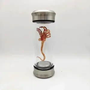 Sa0f32b6bf7bb4591b17eb77ac70e5a4dA