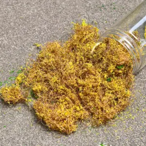 Sac07458c4d3e41bdb97b9faae8b37afai