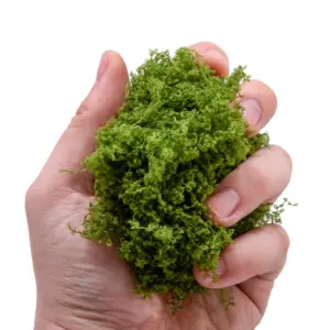 Sb4621c1b428b4779bab464351cecb8409