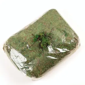 Sb5aced6fff764c4c8ab4ed75a673da76v