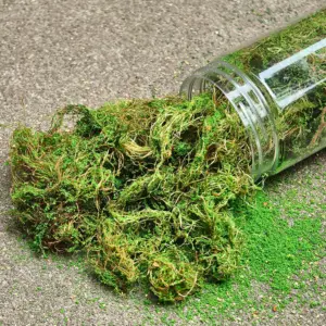 Sb5e5f5e85a424fcaa544a09c56892da1e