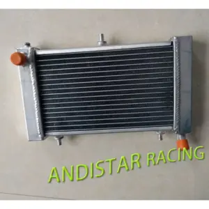 Heavy-Duty Aluminum Radiator for Aprilia RS125 7 Sc338cfbd83f0459da7c5c2b1b4041154e