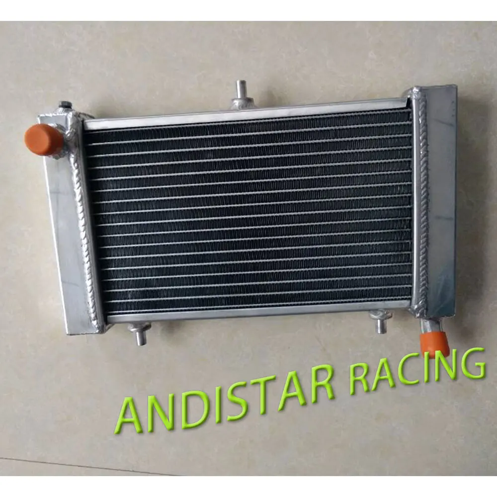 Heavy-Duty Aluminum Radiator for Aprilia RS125 3 Heavy-Duty Aluminum Radiator for Aprilia RS125 - Image 3