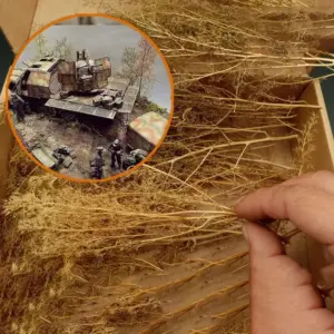 Sc5b9cf987cea427e8c83a5784feafd2b7