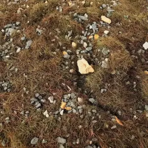 Sc76f2751641e40f5851341d6db77b81ee