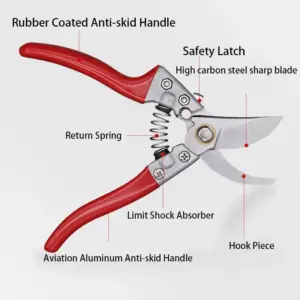 Scae2f499292447418de3373d876c39beg