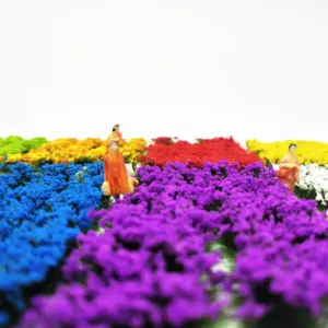 Scf123123d5ef426eb6920c0f432a27baU