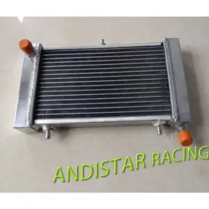 Heavy-Duty Aluminum Radiator for Aprilia RS125 6 Sd816f21a00d74eacb14aacc9e83420c1y