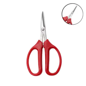 Sdd6971333211494f8ecfe2f3f998a361F