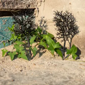 Se3da79d2a48a42618bb8a61ba853bee71