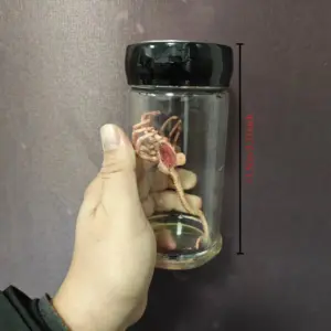 Se4f44245daab448f8f146bd8704f0c089