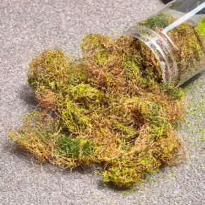 Se842f5d02407486a80c27723e495b79fA