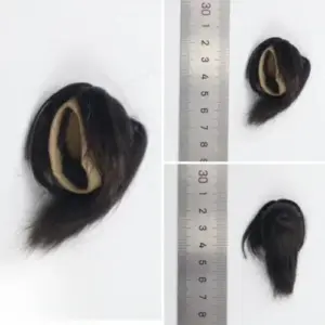 Sf3161715cdd54e68bddf920d98ce14bcT