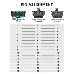 Sf8d43bd4bcb5426fab11157652e2f65c3