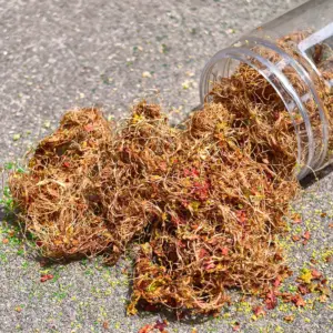 Sfa92b105e5e3466fac9e9df9848e1d31a