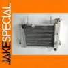 Aluminum Radiator Cooler for Honda CBR125R