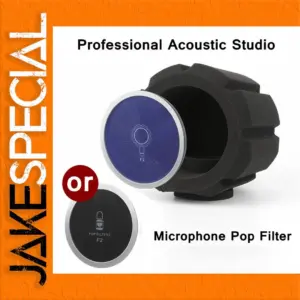 Professional Omnidirectional Condenser Microphone