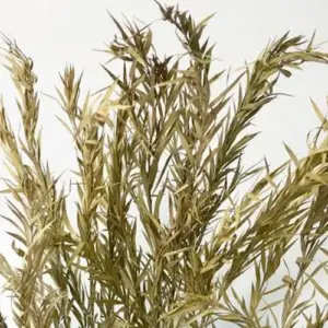 c5d9f829367d4987b5c49061 upscaled