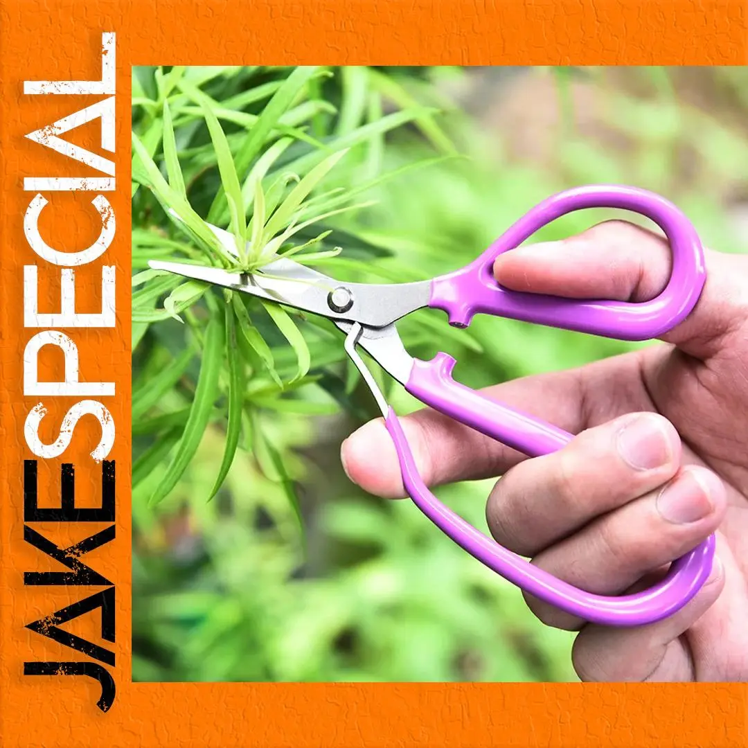 Stainless Steel Pruning Shear with Curved Blade 1 Stainless Steel Pruning Shear with Curved Blade