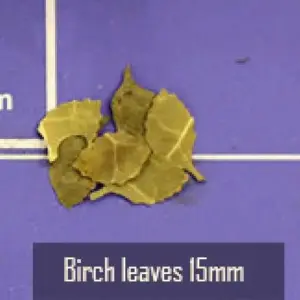 efe41445db7441e1a7dfa77f upscaled