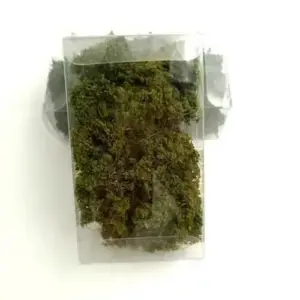 fe15de2e494442afb1104ea8 upscaled