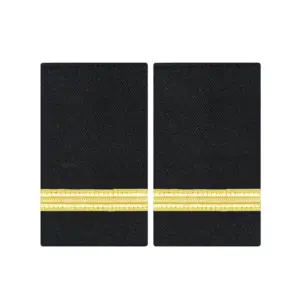 S2d45fbbeaeb44daca519c993a19b20c6I