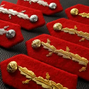 S49d30cde61664a6abbd7b47f841e1cedB