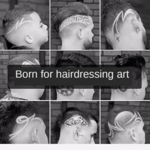 S8686d2fa10cd49058dbc873047e1d0bab