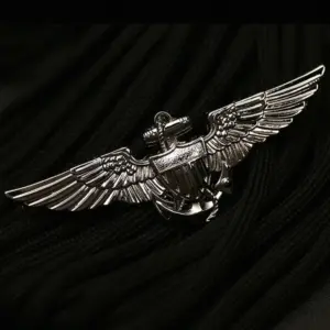 Military Command Master Aviator Badge Pin 15 Sb2838a55d6a04b3baf40be90363f3978n