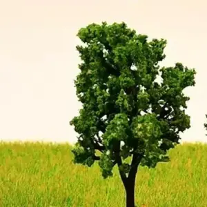 20407b29874c4a38bccb4c62 upscaled