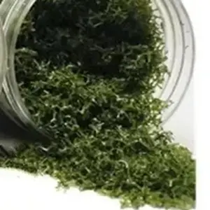 4d8fe9e4d5144ebda641e1eb upscaled