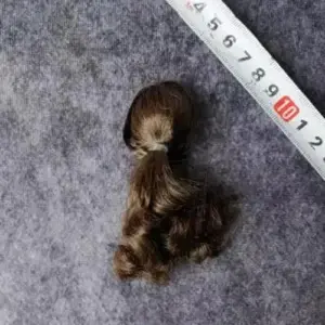 9a149628ed0545c8a88acd57 upscaled