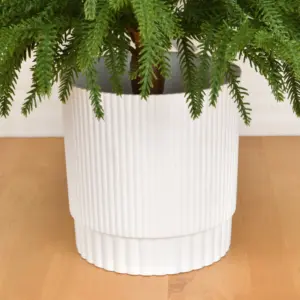 Realistic PE Christmas Tree in Three Sizes 14 A1d04036770874d0e8dbf1c9bda9dc9f3O