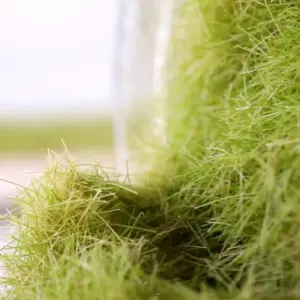 H0962d45fe10e466abfa5ed6aa6cca09de