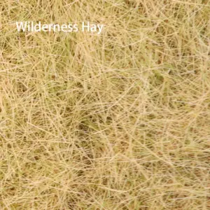 H3f6f8565464641758e617928068f21b0e