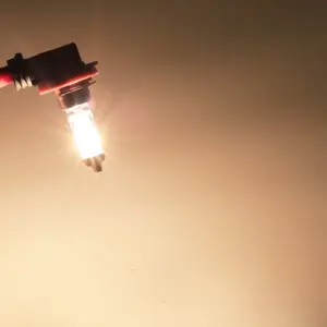 12V 55W Halogen Headlight Bulbs for Vehicles 11 HTB1z2CgQVXXXXcPXVXXq6xXFXXXE