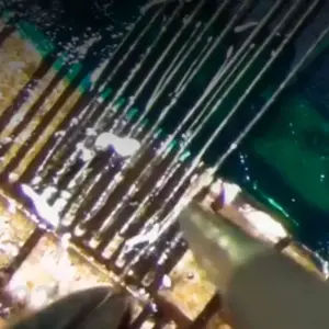 Ha33c93734ac14871827f449b32c6f534g