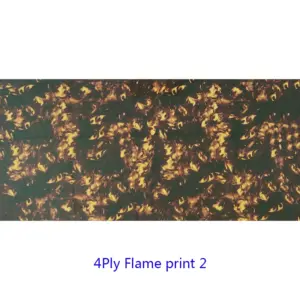 Ha5bdb3ca97ef4b1b9f0de49631774e9dC