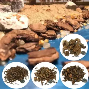 Natural Rocky Terrain Bark Set for Dioramas
