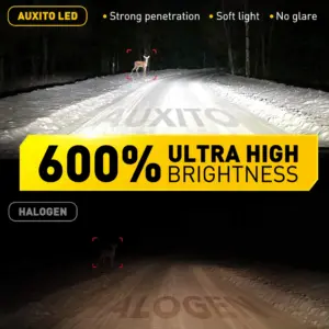 High-Power 16,000 Lumen LED Fog Light Bulbs 9 S098cb14548c0412a85e85409cd2860a9b