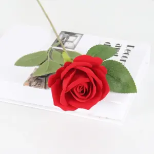 S0b318fbaf5f244e89eefbcc2a4d8acdbW