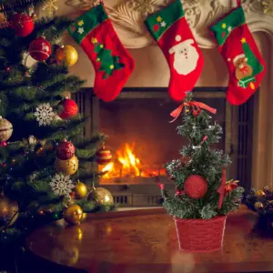 S0c903edd77e14ee8b042a173787c2114W