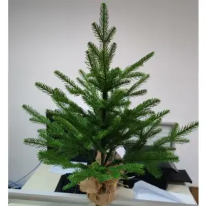 S1116a4618be9419daeba45f58e2f2f65a