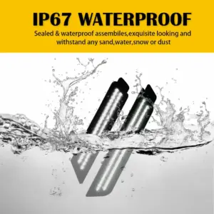 S12b6f9038dcb4c478e9d58291976bcafC