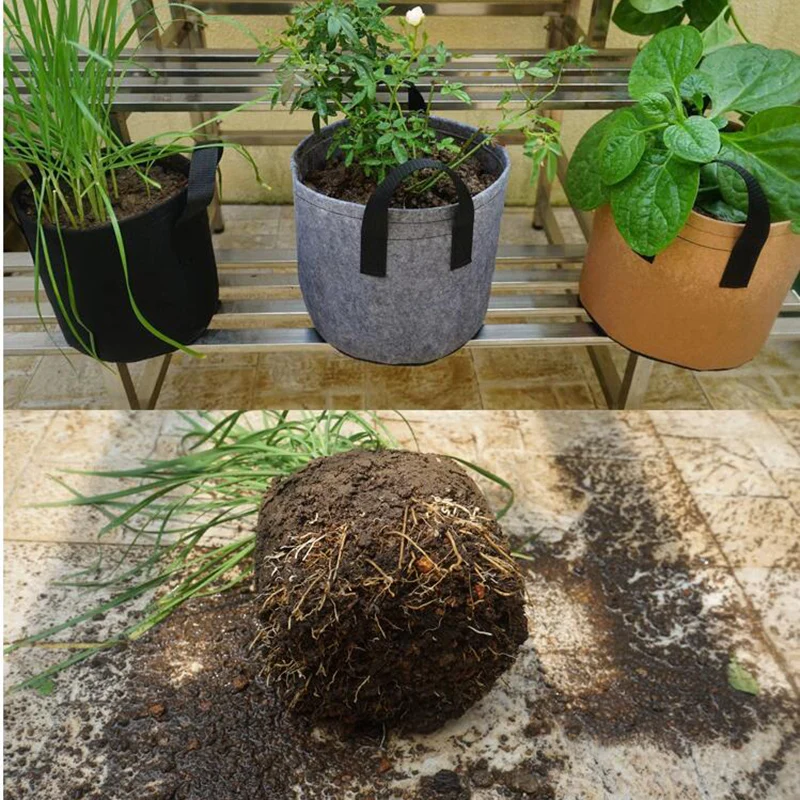 Breathable Non-Woven Grow Bags for Plants 6 Breathable Non-Woven Grow Bags for Plants - Image 6