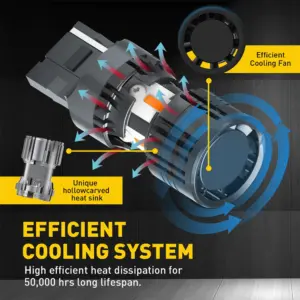 S1761372685e141188c846b0c015520274 1