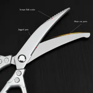 S21ffb8c79e074c23a0662e55cfbfe589d